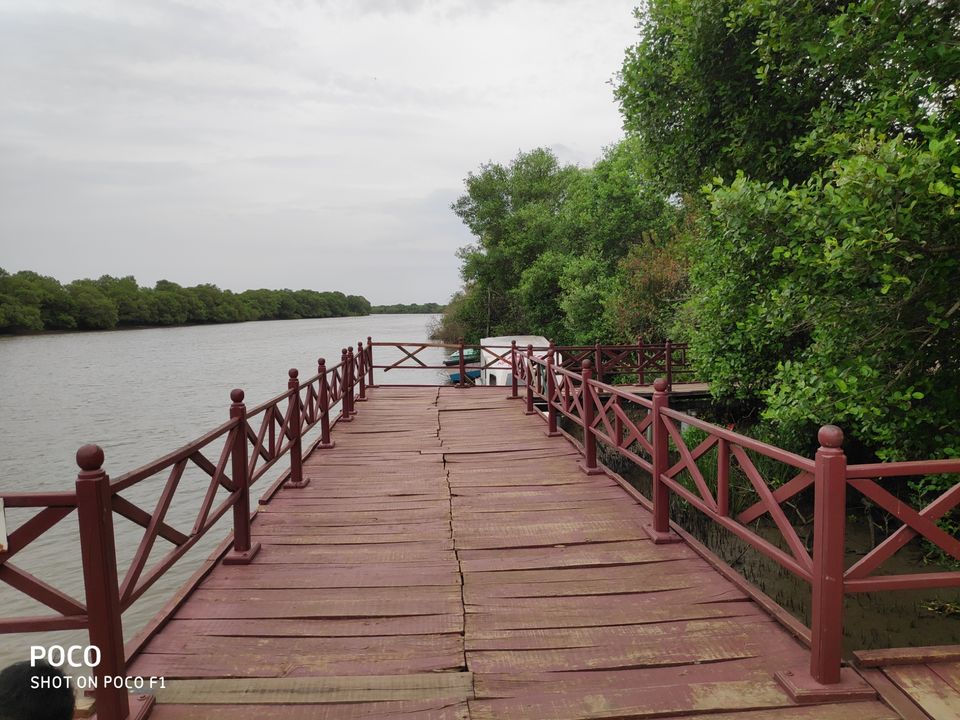 Photo of CORINGA WILD LIFE SANCTUARY by Vazeer Ishaan