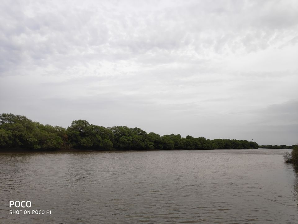 Photo of CORINGA WILD LIFE SANCTUARY by Vazeer Ishaan