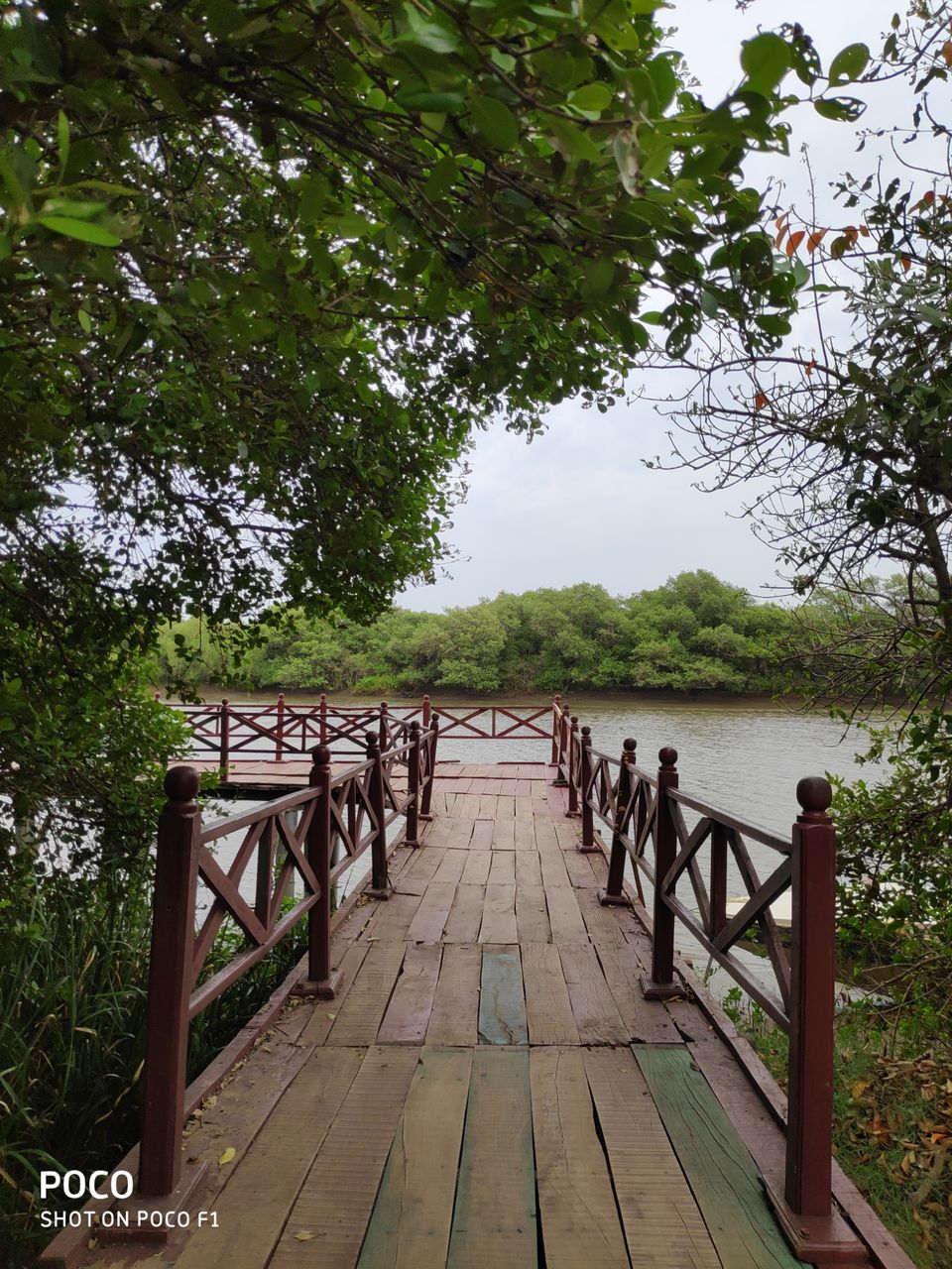 Photo of CORINGA WILD LIFE SANCTUARY by Vazeer Ishaan