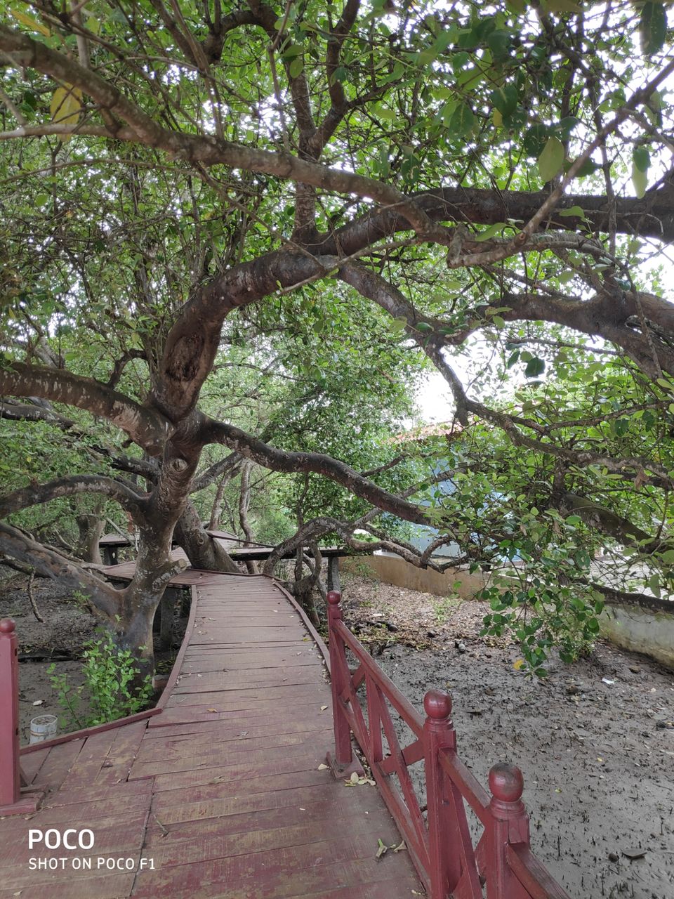 Photo of CORINGA WILD LIFE SANCTUARY by Vazeer Ishaan
