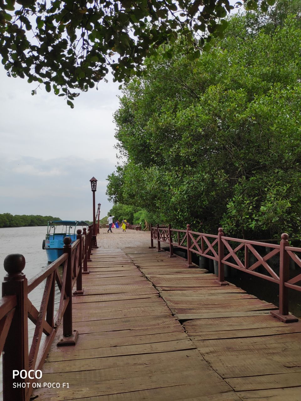Photo of CORINGA WILD LIFE SANCTUARY by Vazeer Ishaan