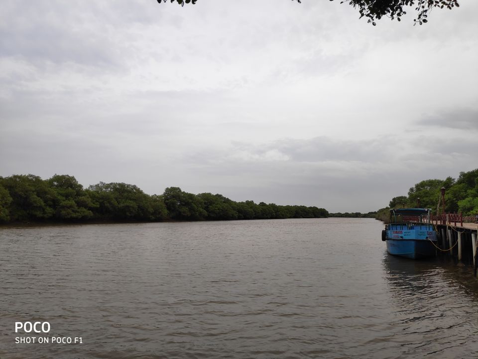 Photo of CORINGA WILD LIFE SANCTUARY by Vazeer Ishaan