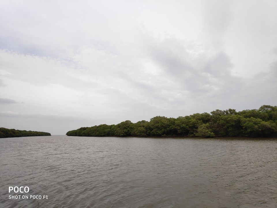 Photo of CORINGA WILD LIFE SANCTUARY by Vazeer Ishaan