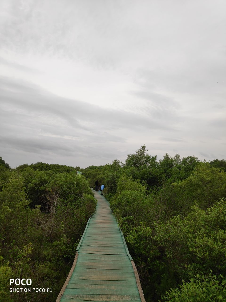 Photo of CORINGA WILD LIFE SANCTUARY by Vazeer Ishaan