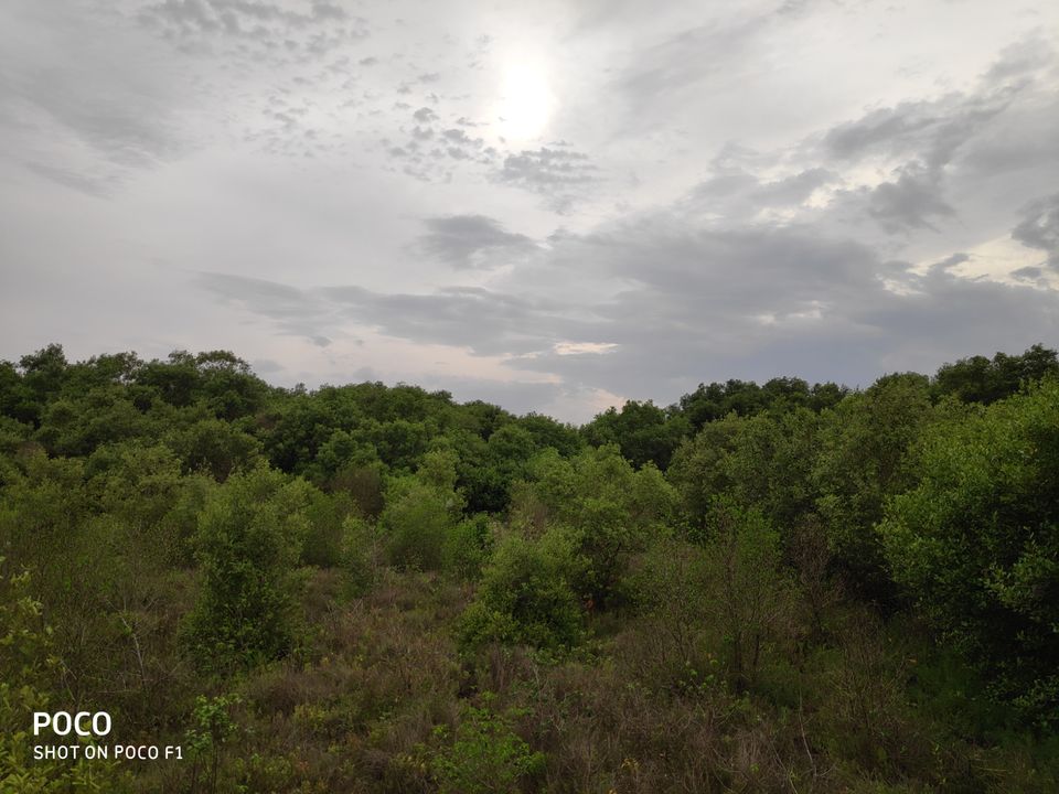 Photo of CORINGA WILD LIFE SANCTUARY by Vazeer Ishaan
