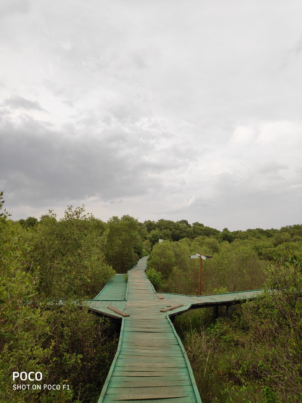 Photo of CORINGA WILD LIFE SANCTUARY by Vazeer Ishaan