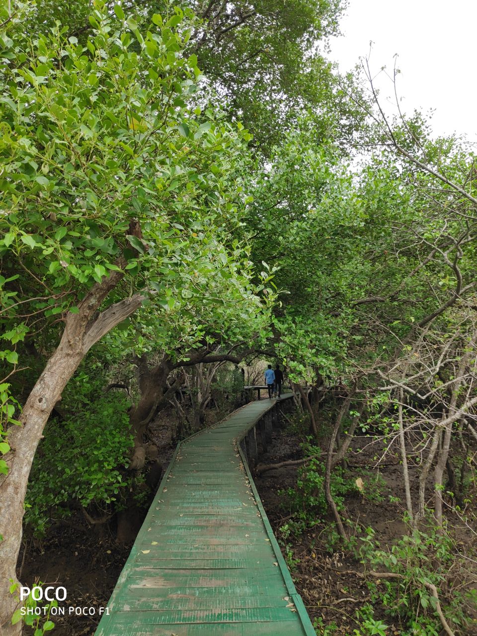 Photo of CORINGA WILD LIFE SANCTUARY by Vazeer Ishaan