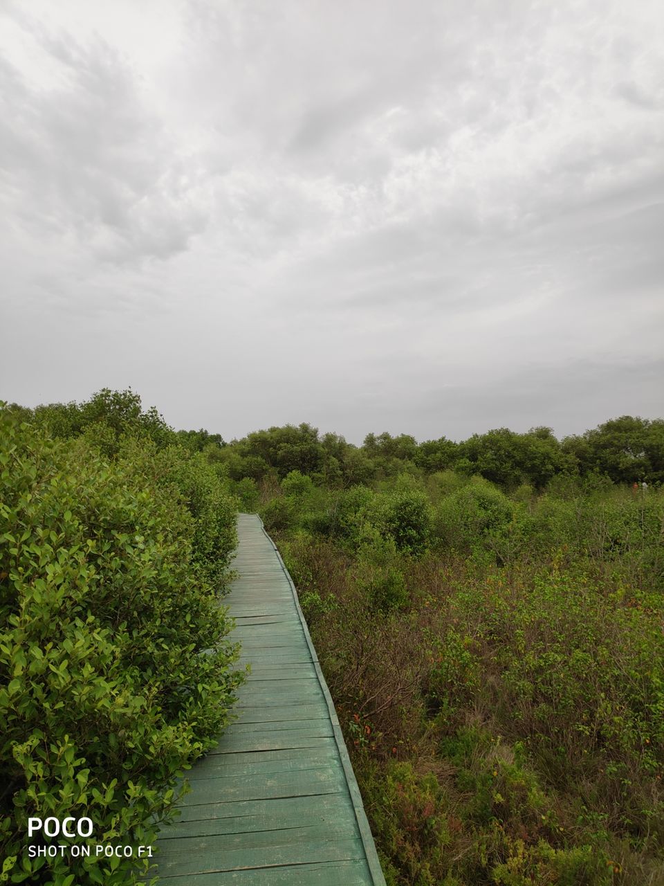 Photo of CORINGA WILD LIFE SANCTUARY by Vazeer Ishaan