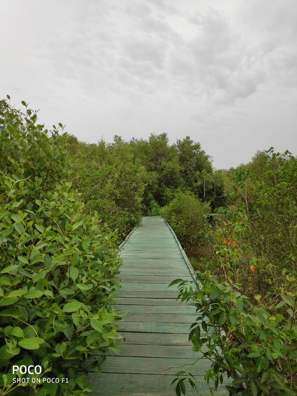 Photo of CORINGA WILD LIFE SANCTUARY by Vazeer Ishaan