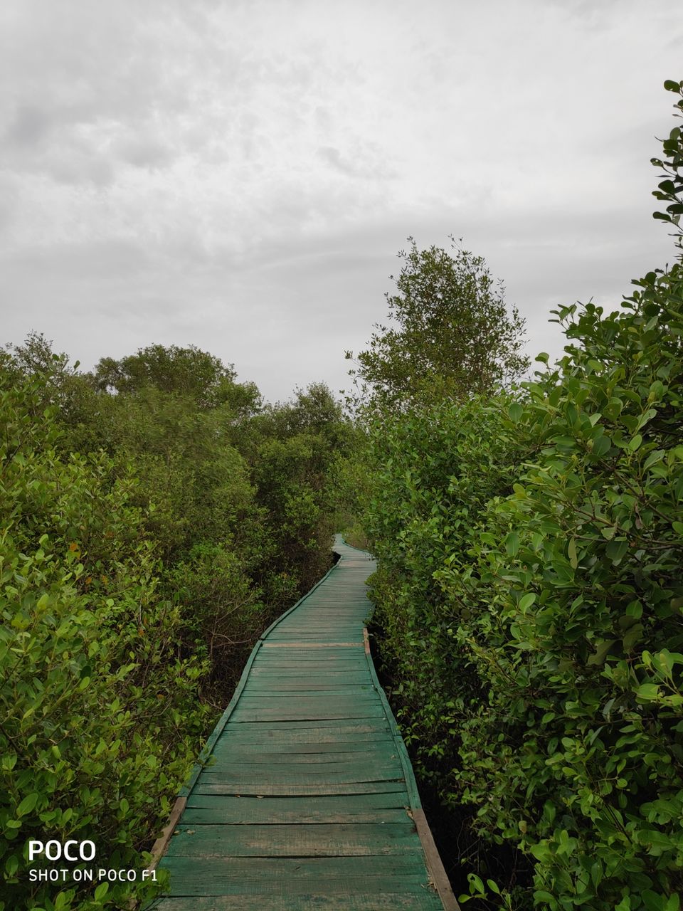 Photo of CORINGA WILD LIFE SANCTUARY by Vazeer Ishaan