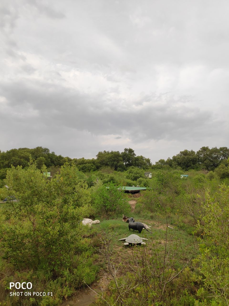 Photo of CORINGA WILD LIFE SANCTUARY by Vazeer Ishaan