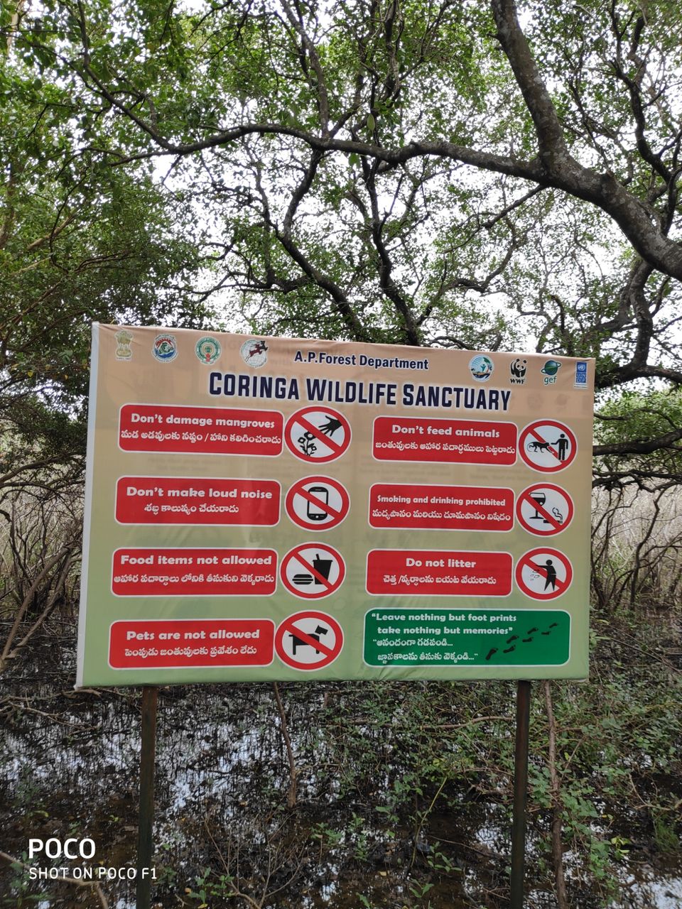 Photo of CORINGA WILD LIFE SANCTUARY by Vazeer Ishaan