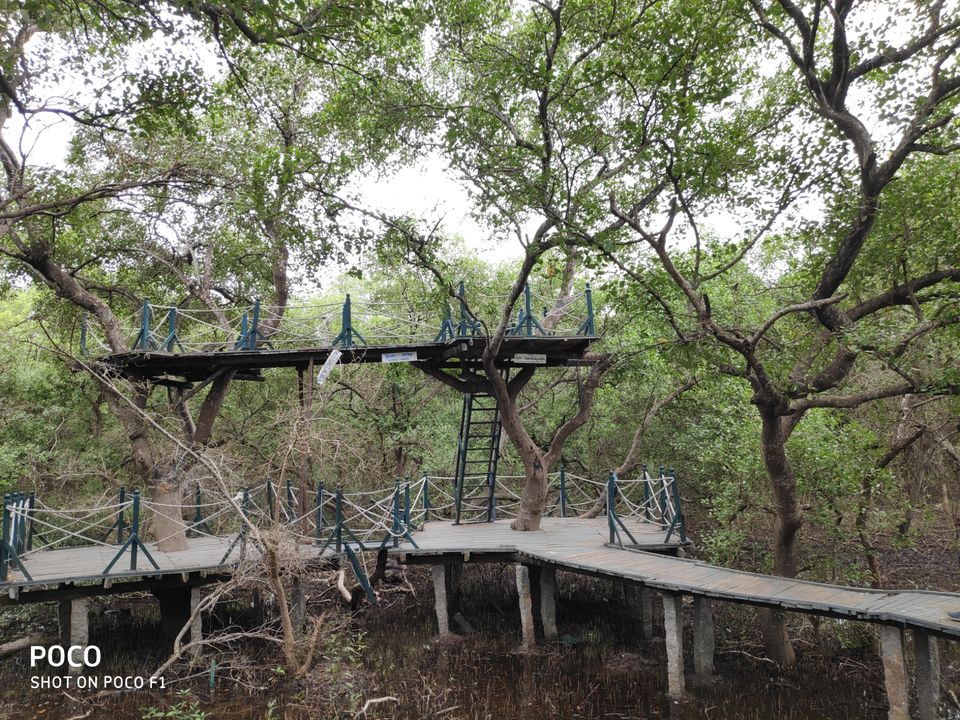 Photo of CORINGA WILD LIFE SANCTUARY by Vazeer Ishaan