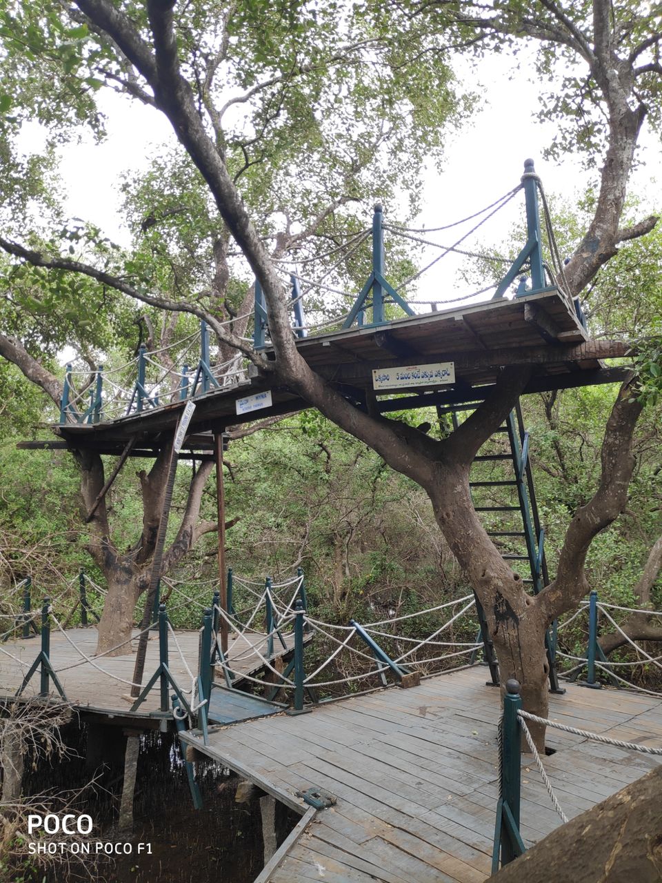 Photo of CORINGA WILD LIFE SANCTUARY by Vazeer Ishaan