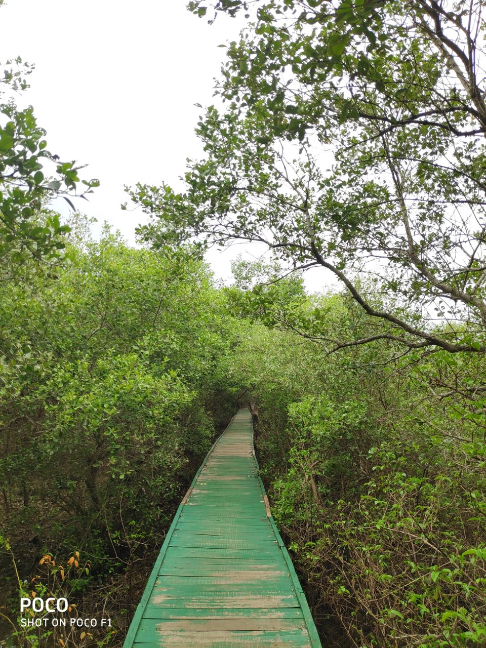 Photo of CORINGA WILD LIFE SANCTUARY by Vazeer Ishaan