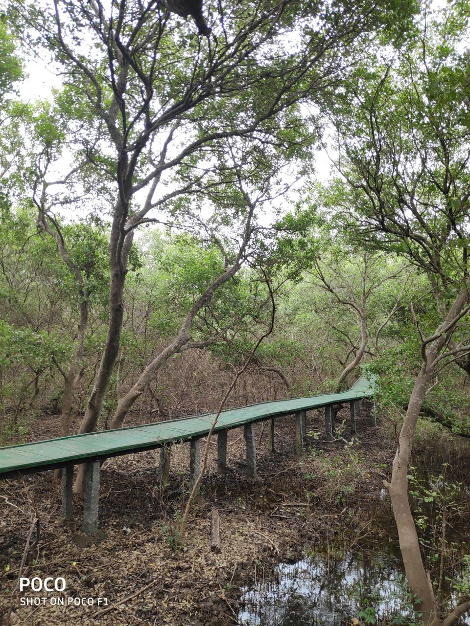 Photo of CORINGA WILD LIFE SANCTUARY by Vazeer Ishaan