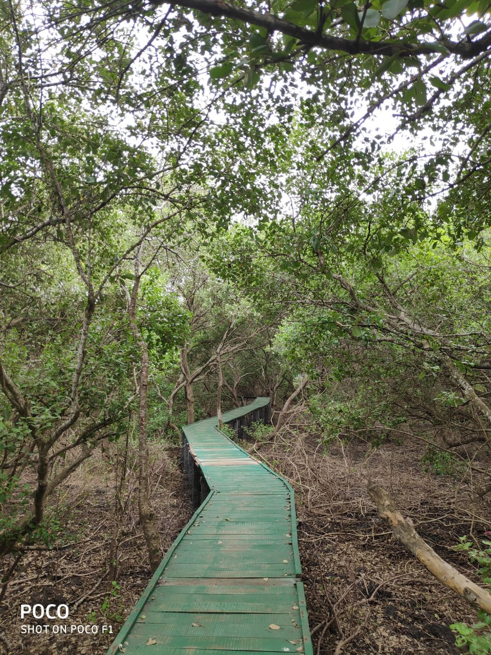 Photo of CORINGA WILD LIFE SANCTUARY by Vazeer Ishaan