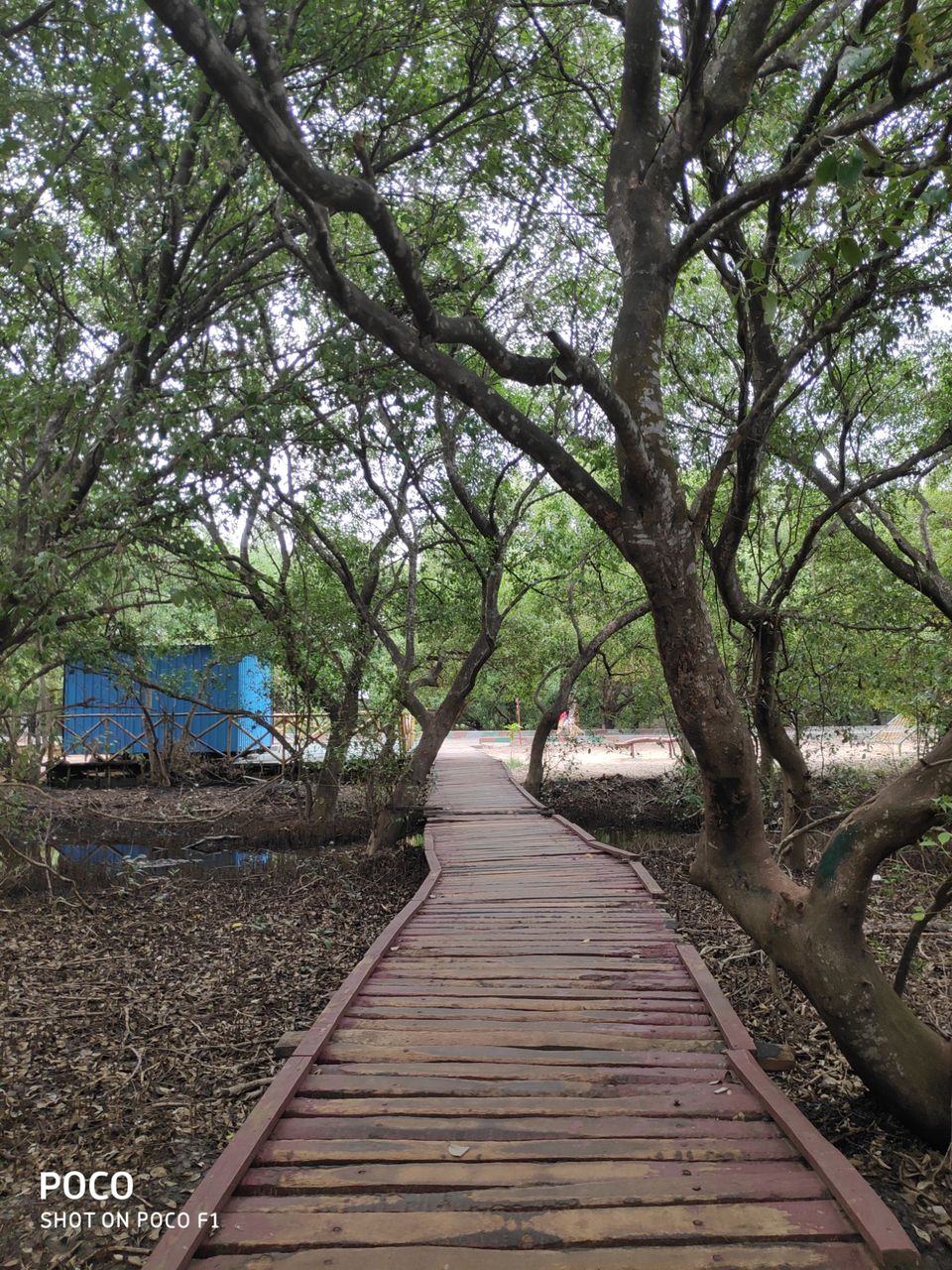 Photo of CORINGA WILD LIFE SANCTUARY by Vazeer Ishaan