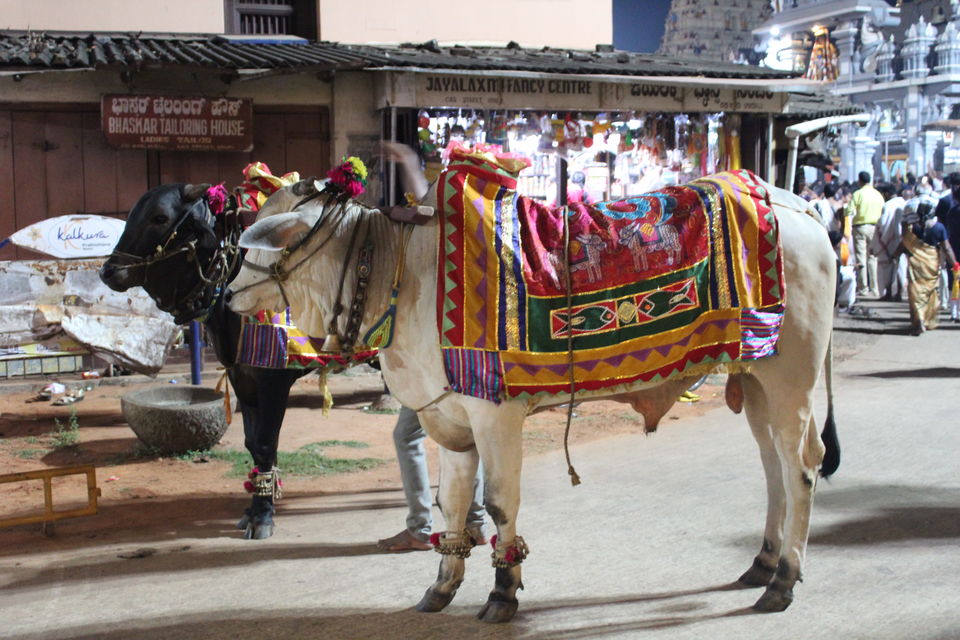 Photo of Sri Krishna Matha, Temple Car Street, Sri Krishna Temple Complex, Thenkpete, Maruthi Veethika, Udupi, Karnataka, India by SUMANTH DODDAPANENI