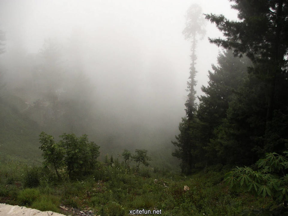 Photo of Off-beat destinations 101: Murree, Pakistan by Samia Ahmed