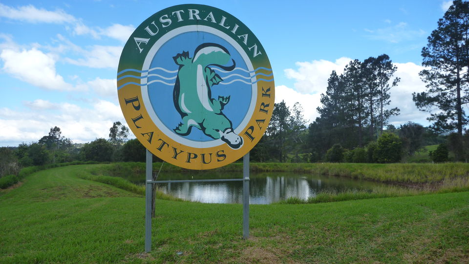 Photo of Top things to do in Cairns, Australia 7/10 by Samia Ahmed