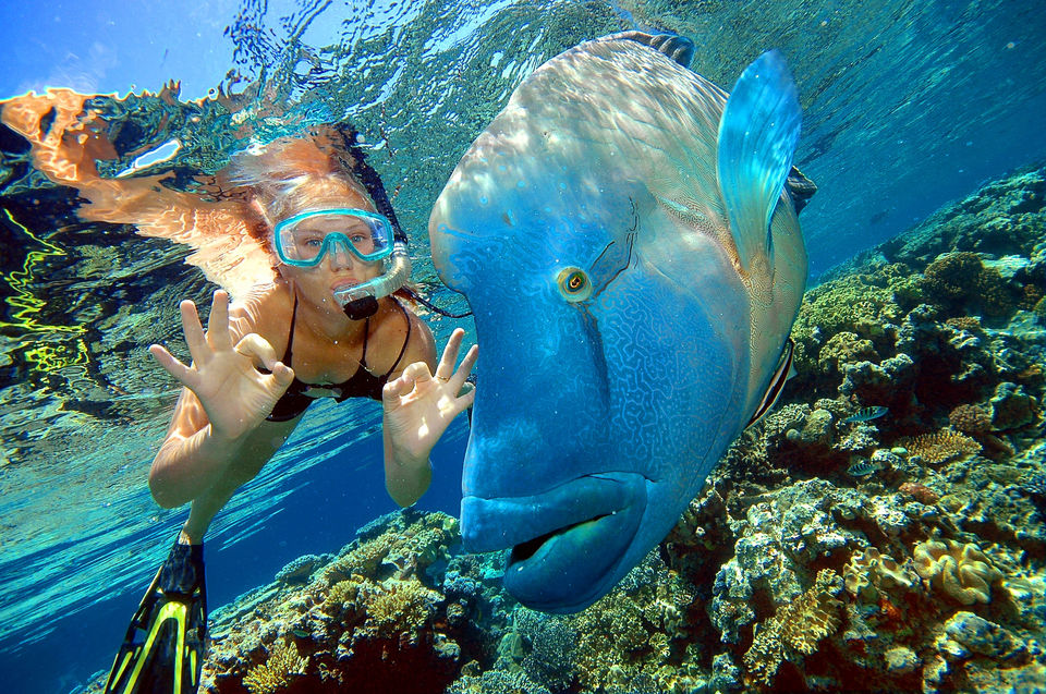Photo of Top things to do in Cairns, Australia 8/10 by Samia Ahmed