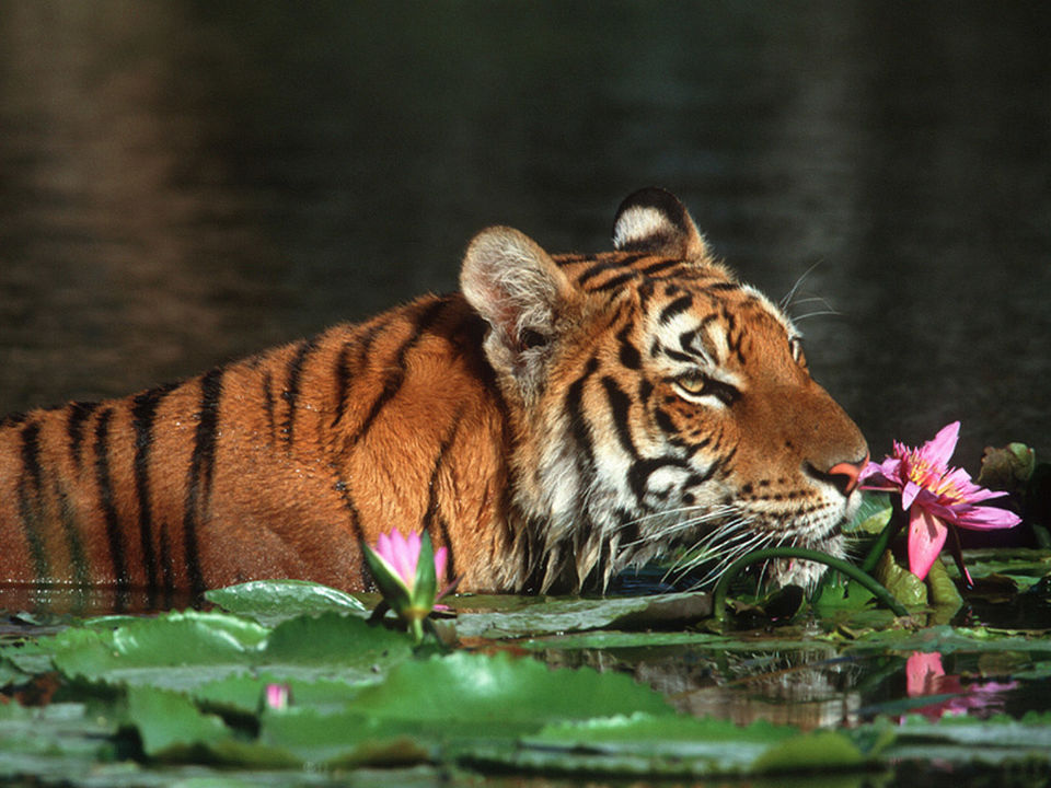 Photo of 5 Places that redefine offbeat travel 1/9 by Samia Ahmed