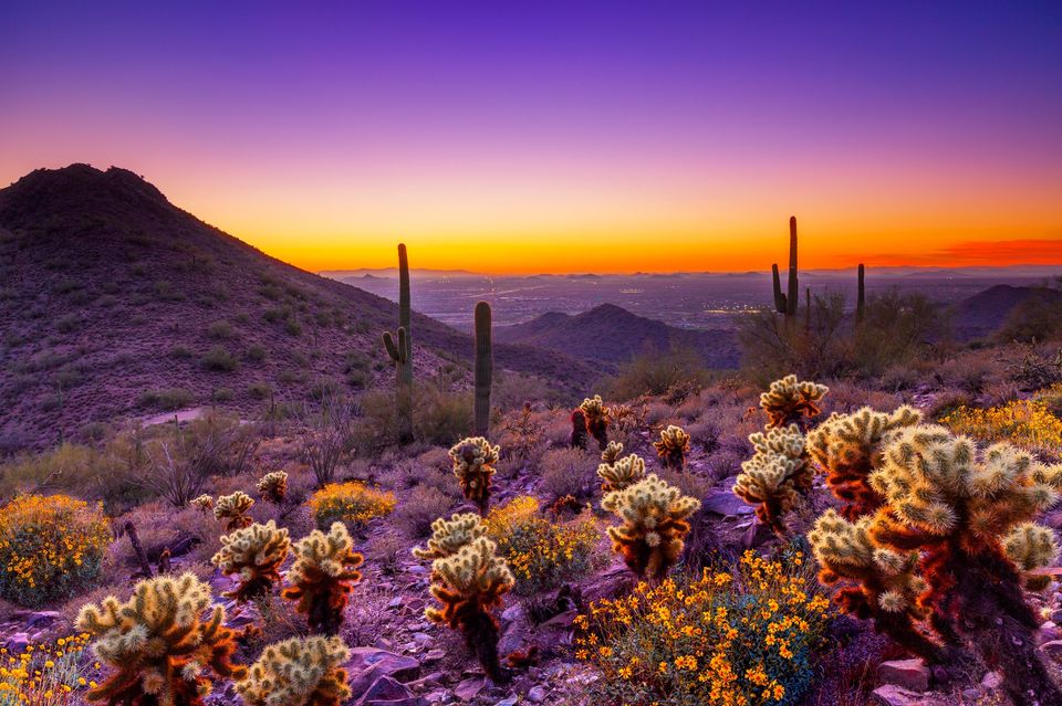 Photo of Offbeat destinations 101: Arizona, USA 4/7 by Samia Ahmed