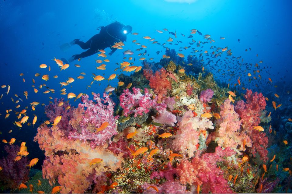 Photo of Off-beat destinations 101: Fiji 1/10 by Samia Ahmed