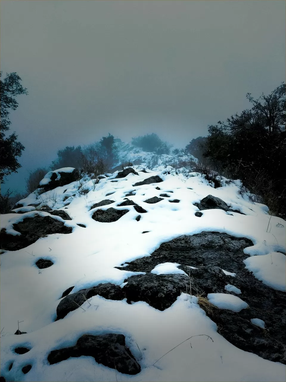 Photo of Dorothy's Seat -Tiffin Top, Ayarpatta, Nainital, Uttarakhand, India by Milan Sah