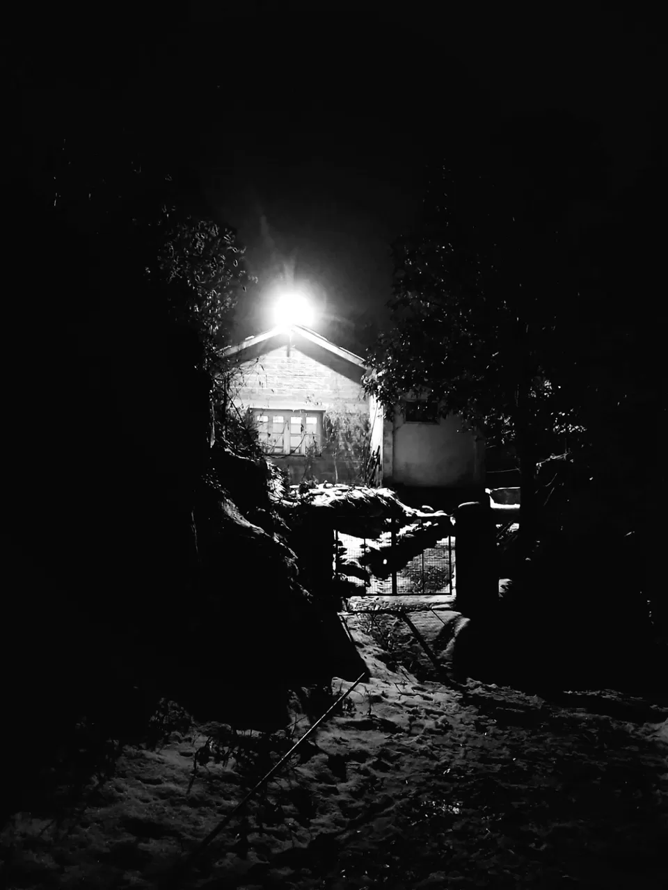Photo of Dorothy's Seat -Tiffin Top, Ayarpatta, Nainital, Uttarakhand, India by Milan Sah