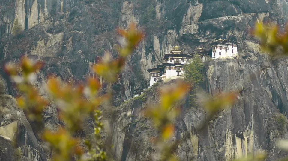 Photo of Tiger's Nest View Point, Taktsang Trail, Bhutan by Nikhilesh Badhwar