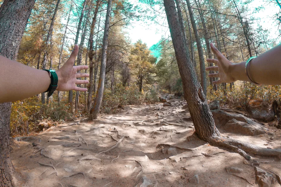 Photo of Tiger’s Nest, Taktsang Trail, Bhutan by Nikhilesh Badhwar
