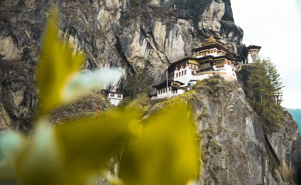 Photo of Tiger's Nest View Point, Taktsang Trail, Bhutan by Nikhilesh Badhwar