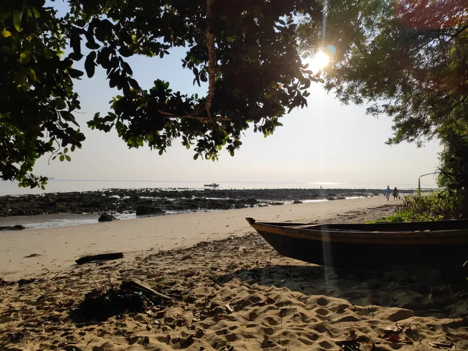 Photo of Havelock Island, Andaman and Nicobar Islands by Nikhil s