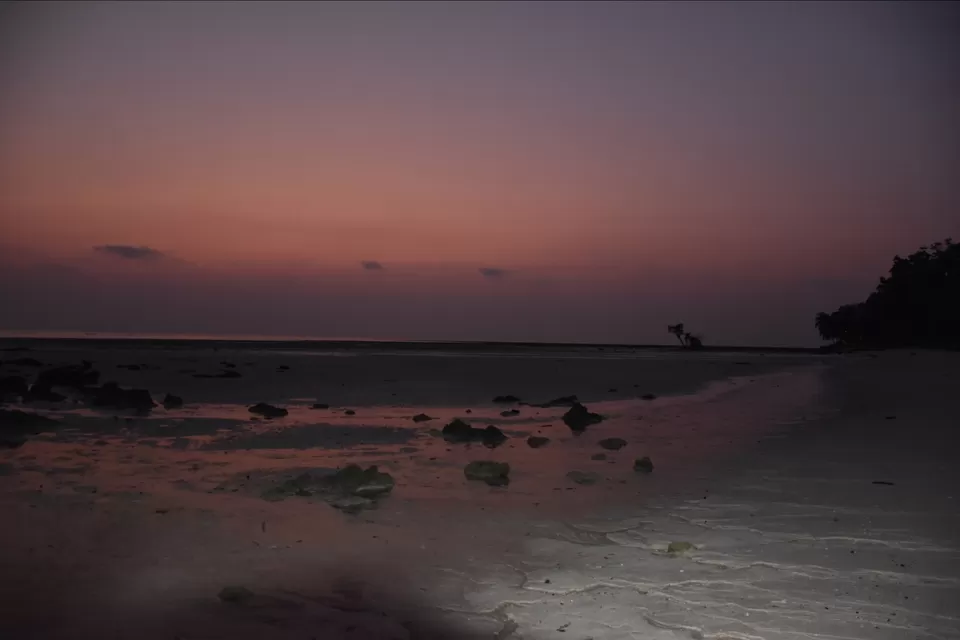 Photo of Havelock Island, Andaman and Nicobar Islands by Nikhil s