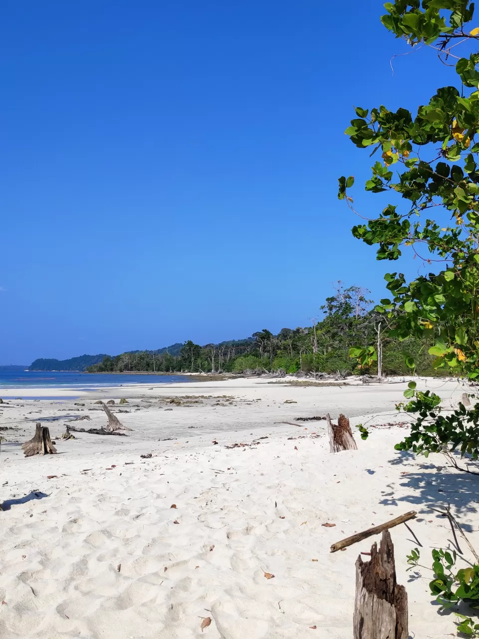 Photo of Havelock Island, Andaman and Nicobar Islands by Nikhil s
