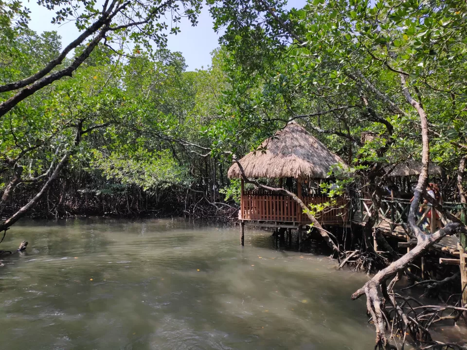 Photo of Baratang, Andaman and Nicobar Islands by Nikhil s