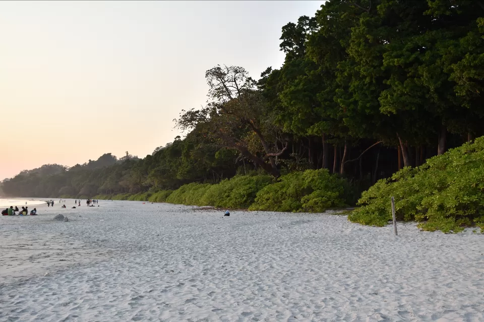 Photo of Radhanagar Beach, Andaman and Nicobar Islands by Nikhil s