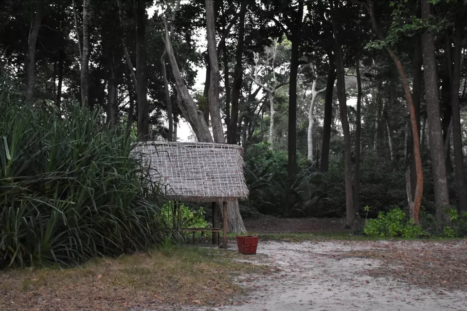 Photo of Radhanagar Beach, Andaman and Nicobar Islands by Nikhil s