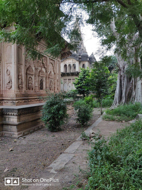 Photo of The Melodies of Gwalior, Delhi to Bangalore drive: Exploring the Unexplored 15/46 by Srashti Mittal