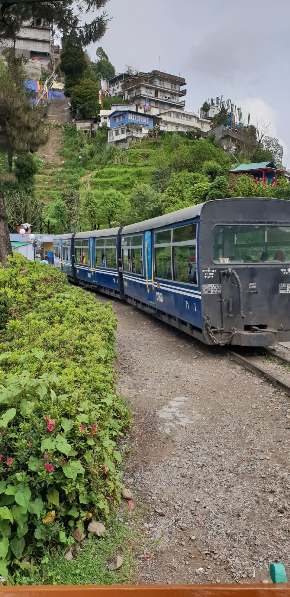 Photo of Patna to Darjeeling 515 km A memorable roadtrip through the Misty mountains of darjeeling by Ankit Nryn