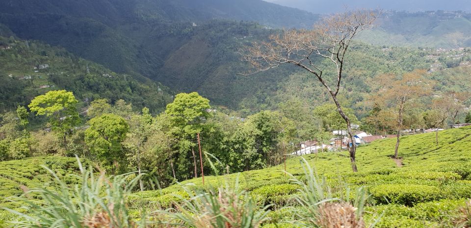 Photo of Patna to Darjeeling 515 km A memorable roadtrip through the Misty mountains of darjeeling by Ankit Nryn