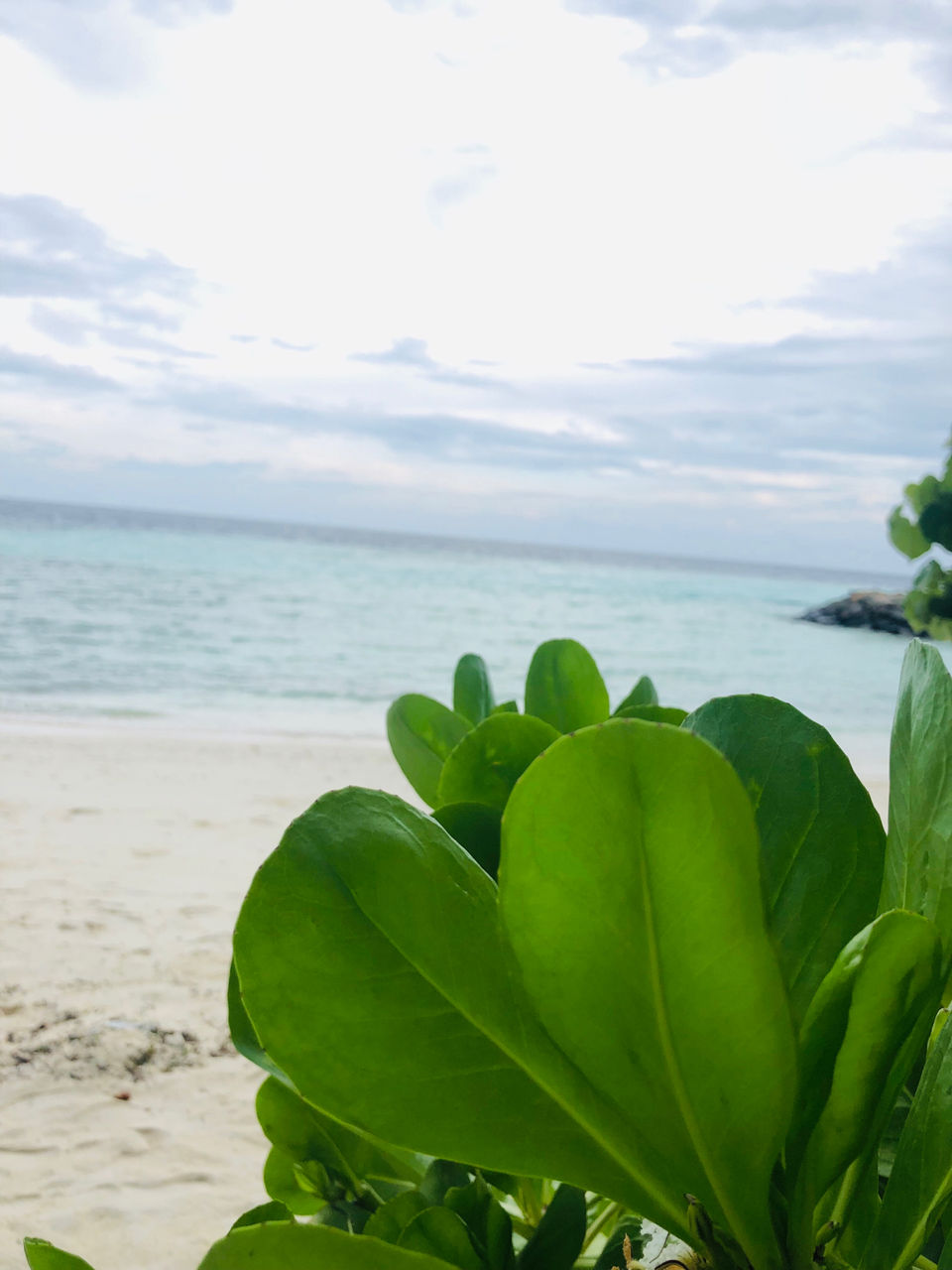 Photo of Weekend Trip To Maldives by Arshiya Naushad