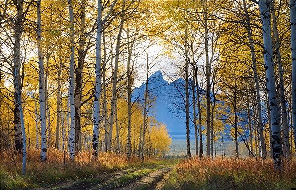 Photo of My Dream Come True When I Go To Wyoming For A Month 9/15 by Jake James
