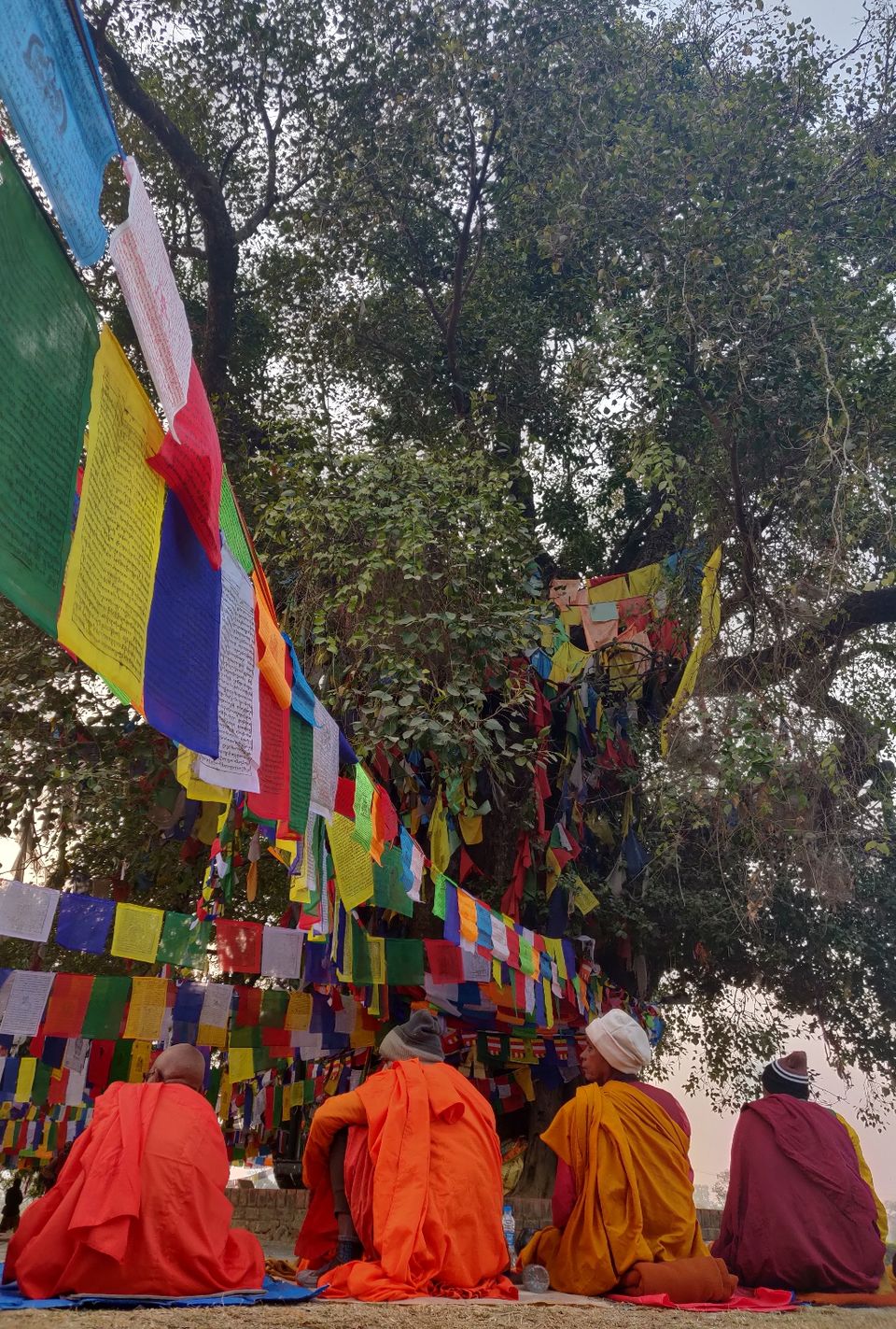 Photo of Nepal, I'm coming back to you. by Meghana Saldanha