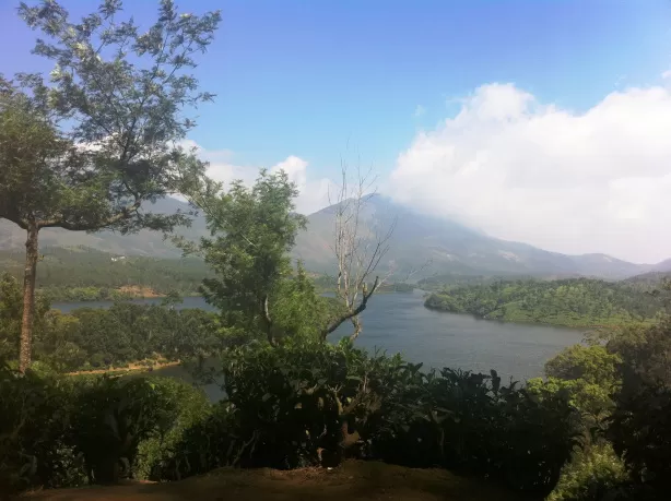 Photo of Munnar, Kerala, India by Bharti Singh