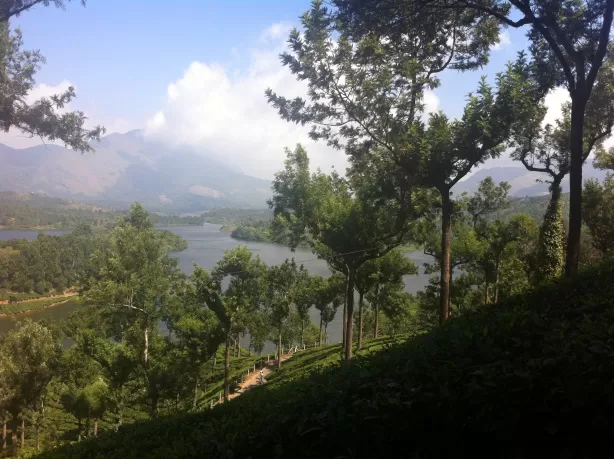 Photo of Munnar, Kerala, India by Bharti Singh