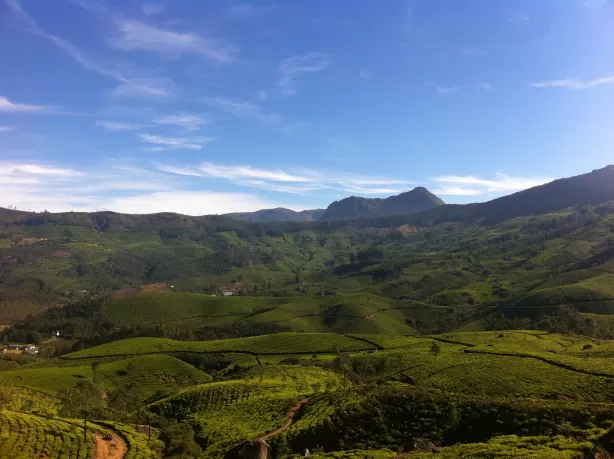 Photo of Munnar, Kerala, India by Bharti Singh