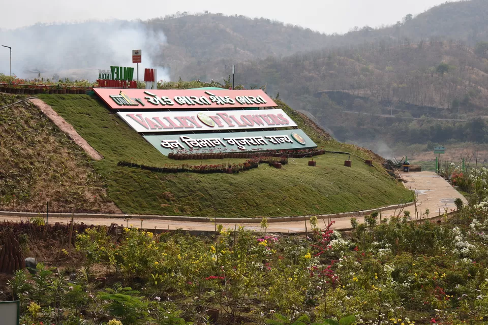 Photo of Valley of Flowers (ફ્લાવર વેલી), Gujarat, India by Devashree Ashara